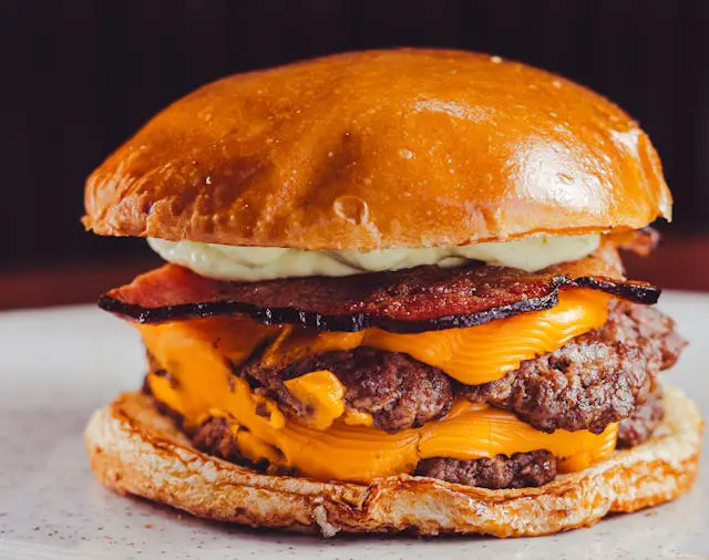 double cheeseburger